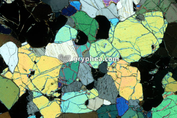 Péridotite LPA x5 - gryphea.com